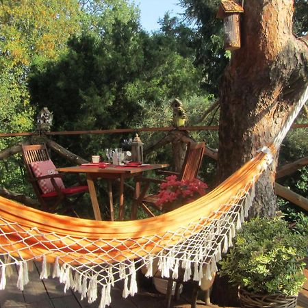 Domaine De La Carrauterie By Terre Insolite Sautin Eksteriør bilde
