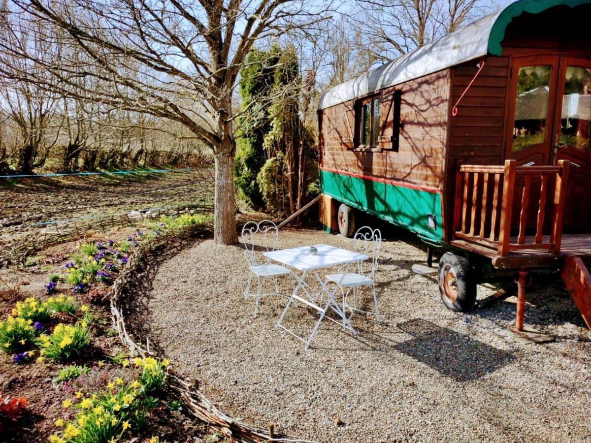 Domaine De La Carrauterie By Terre Insolite Sautin Eksteriør bilde