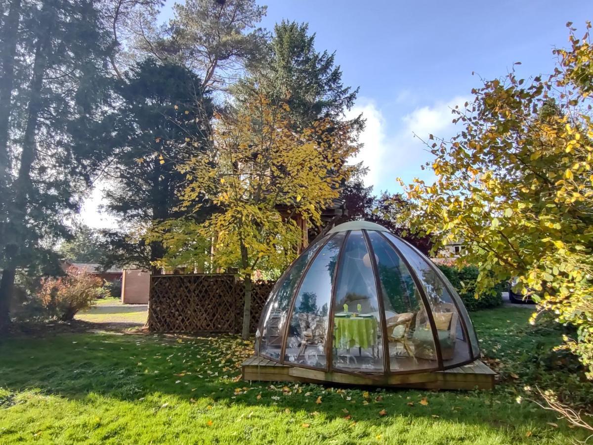 Domaine De La Carrauterie By Terre Insolite Sautin Eksteriør bilde