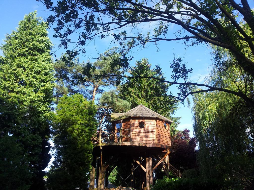 Domaine De La Carrauterie By Terre Insolite Sautin Rom bilde