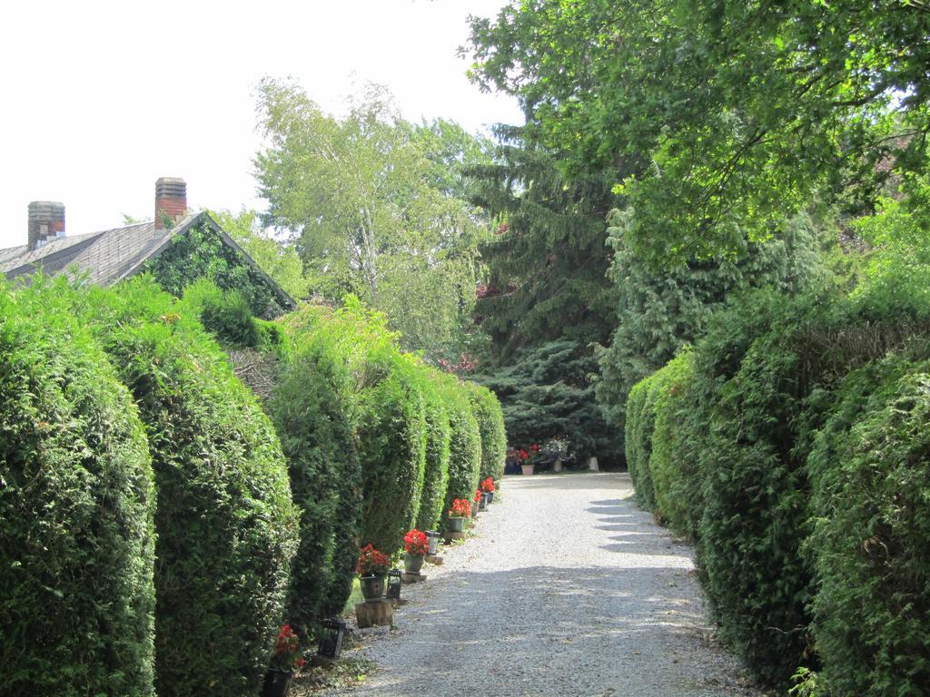Domaine De La Carrauterie By Terre Insolite Sautin Eksteriør bilde